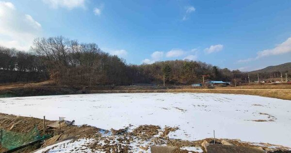경기도 여주시 북내면 장암리 OO 답 경매 물건 이미지