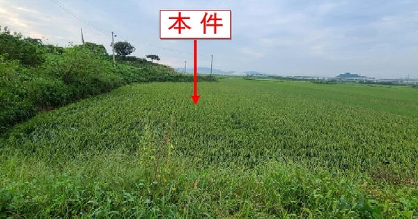 경기도 평택시 현덕면 대안리 OOOOOOO 답 경매 물건 이미지