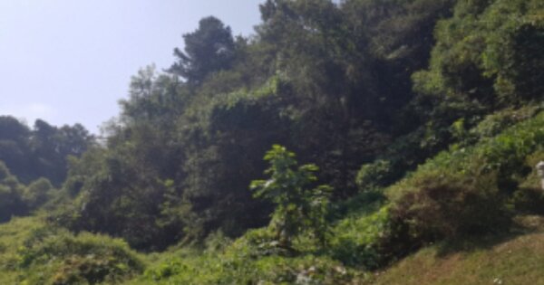 경기도 안성시 죽산면 용설리 OOOO 임야 경매 물건 이미지