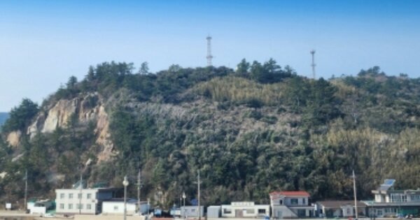 전라남도 여수시 삼산면 덕촌리 OOO 전 경매 물건 이미지