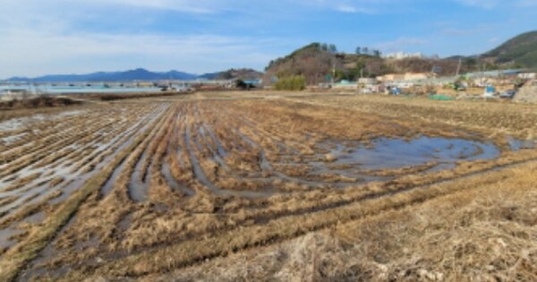 전라남도 광양시 광양읍 용강리 OOOOO 답 경매 물건 이미지
