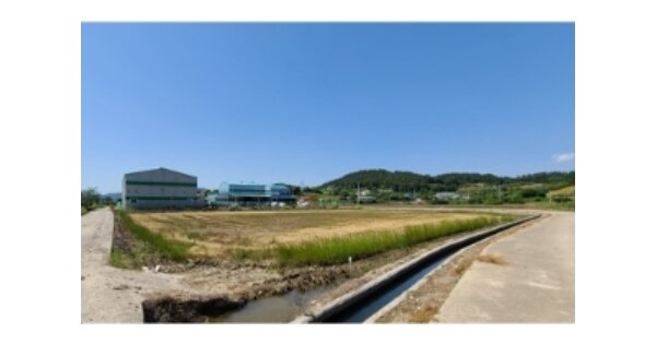 전라남도 무안군 일로읍 죽산리 OOOO 답 경매 물건 이미지