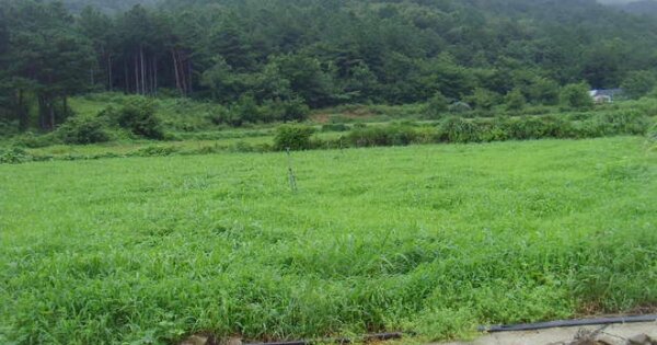전라남도 해남군 현산면 덕흥리 OOO 전 경매 물건 이미지