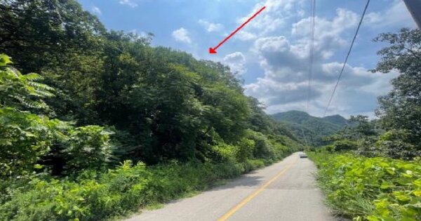 강원특별자치도 춘천시 남면 발산리 OOOOOO 임야 경매 물건 이미지