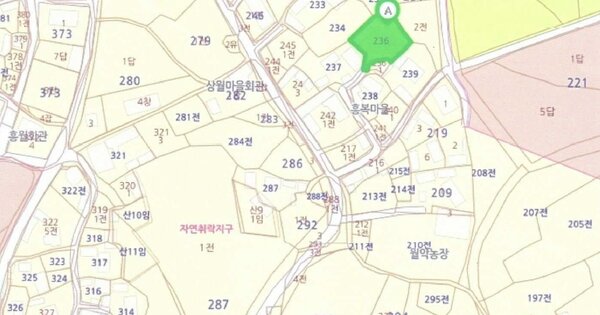 전라남도 영암군 시종면 월악리 OOO 대지 경매 물건 이미지