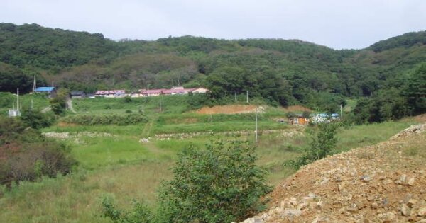 전라남도 완도군 완도읍 대야리 OOOO 목장용지 경매 물건 이미지