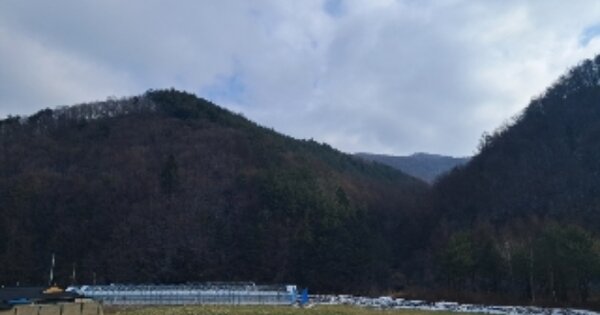 강원특별자치도 삼척시 하장면 숙암리 OOO O OOO 임야 경매 물건 이미지
