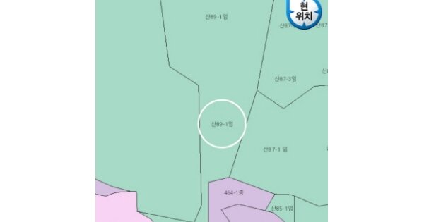 경기도 화성시 서신면 상안리 OOOOO O OOOO 임야 경매 물건 이미지