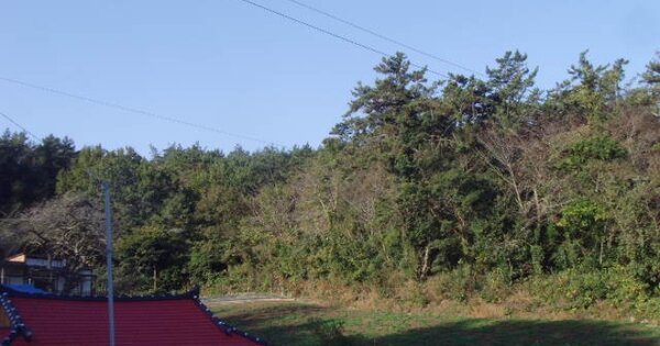 전라남도 진도군 조도면 여미리 OOO 임야 경매 물건 이미지