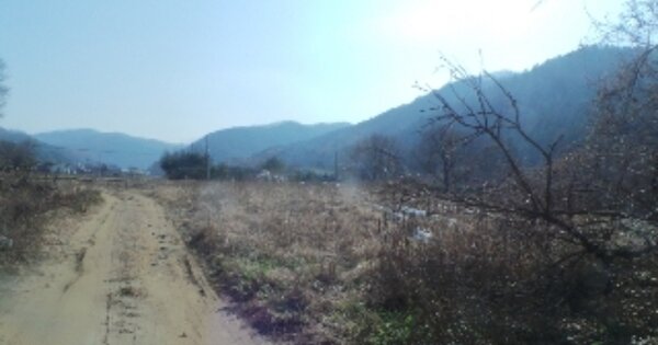 강원특별자치도 홍천군 서면 굴업리 OOO O OOO 답 경매 물건 이미지