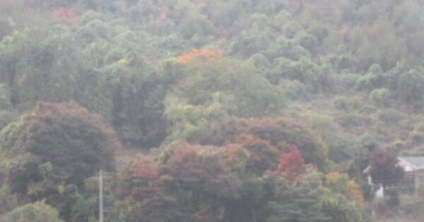 충청북도 괴산군 문광면 양곡리 OOOOO 전 경매 물건 이미지