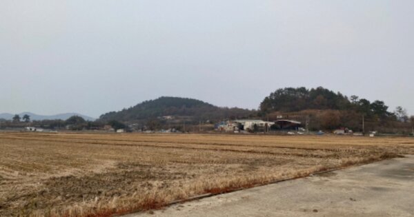 전라남도 순천시 별량면 우산리 OOOOO 답 경매 물건 이미지