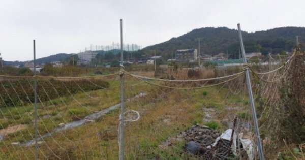 경기도 안산시 단원구 대부동동 OOOOO 답 경매 물건 이미지