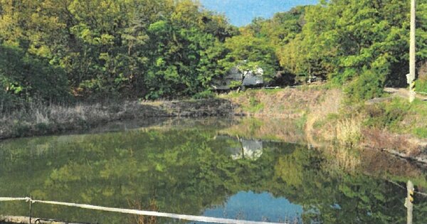 경기도 고양시 덕양구 대자동 OOO 답 경매 물건 이미지