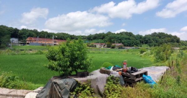 경기도 파주시 파주읍 향양리 OOOOO 전 경매 물건 이미지