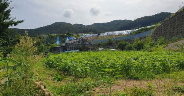 경기도 동두천시 상봉암동 OO 답 경매 물건 이미지