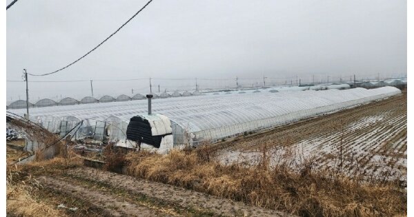 경상남도 김해시 대동면 괴정리 OOOO O OOO 답 경매 물건 이미지