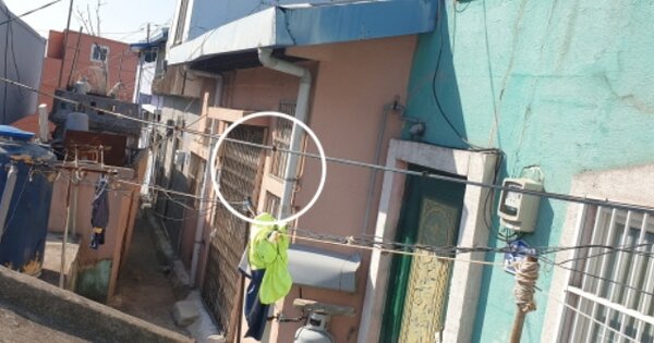 부산광역시 사하구 감천동 OOOOOO 단독주택 경매 물건 이미지