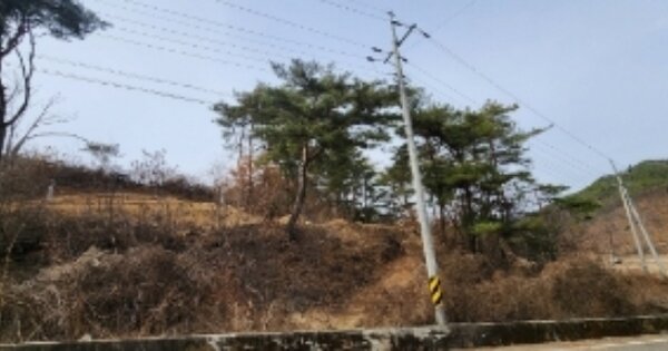 경상북도 안동시 도산면 단천리 OOO 전 경매 물건 이미지