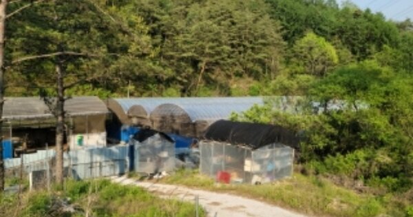 경상북도 봉화군 명호면 양곡리 O 동물 및 식물 관련시설 경매 물건 이미지