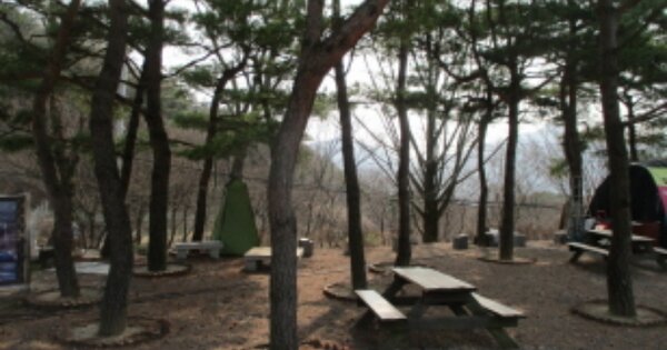 충청남도 금산군 추부면 서대리 OOOO O OOO 전 경매 물건 이미지