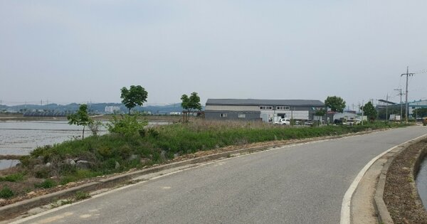 충청남도 아산시 선장면 채신언리 OOO 공장 경매 물건 이미지