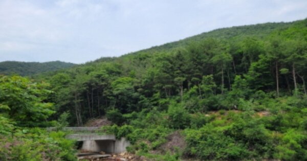 울산광역시 울주군 언양읍 다개리 OOO 임야 경매 물건 이미지