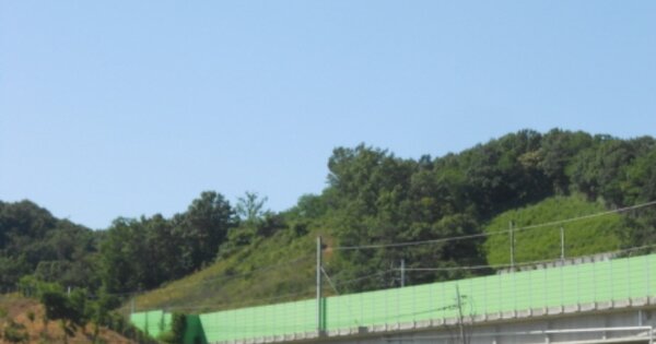 세종특별자치시 전동면 노장리 OOOOOO 임야 경매 물건 이미지