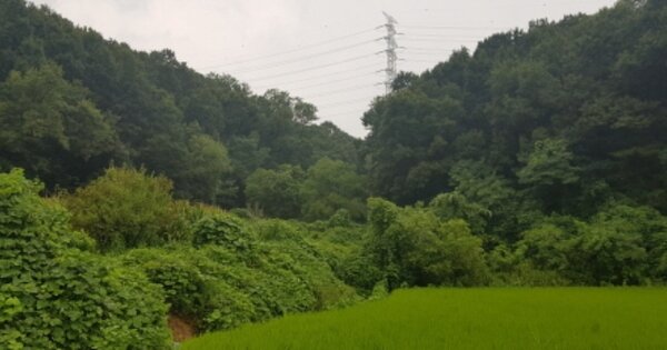 충청남도 아산시 음봉면 신정리 OOOOO O OOO 유지 경매 물건 이미지