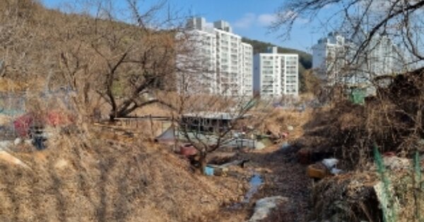 경기도 안양시 만안구 안양동 OOOOO 임야 경매 물건 이미지