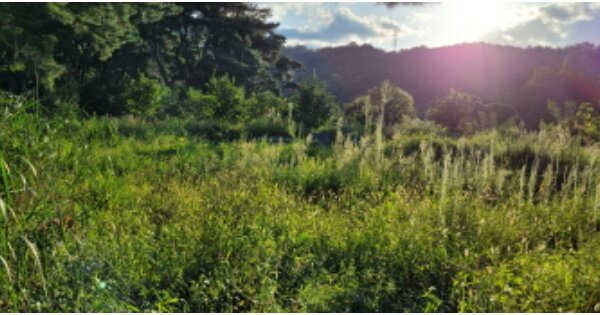경상북도 칠곡군 북삼읍 어로리 OOOOO 전 경매 물건 이미지