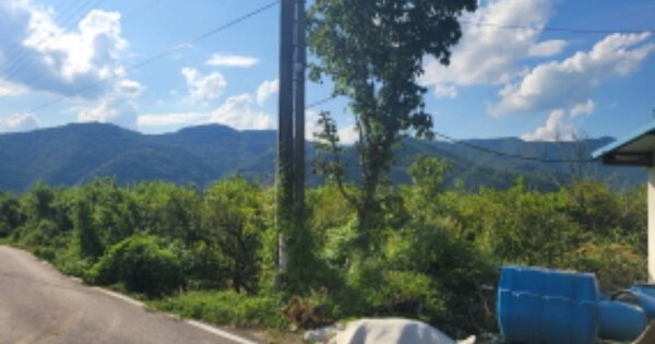 경상북도 청도군 금천면 신지리 OOOOO 전 경매 물건 이미지