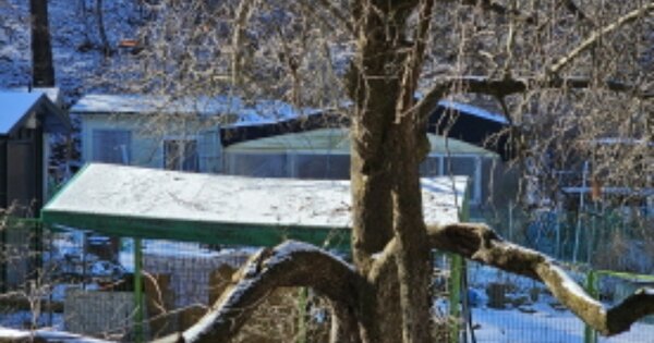 충청남도 천안시 서북구 성거읍 천흥리 OOO 단독주택 경매 물건 이미지