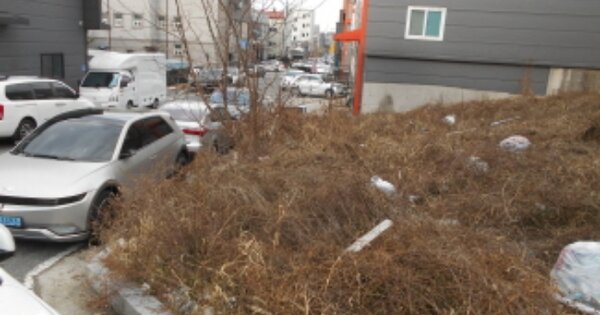 대전광역시 서구 관저동 OOOOOO 대지 경매 물건 이미지