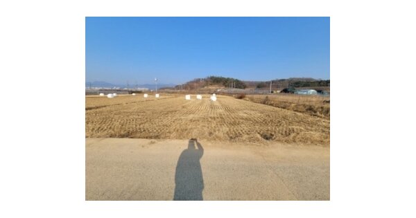 대구광역시 수성구 매호동 OOOO 답 경매 물건 이미지