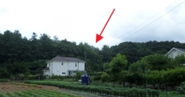 강원특별자치도 원주시 판부면 서곡리 OOOOO 임야 경매 물건 이미지