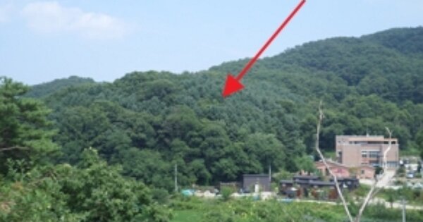 강원특별자치도 원주시 흥업면 대안리 OOOOOO O OOO 임야 경매 물건 이미지