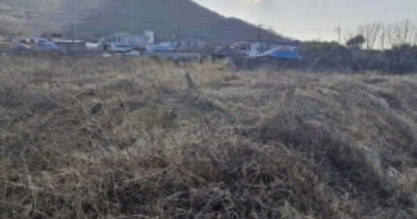 경상남도 고성군 동해면 양촌리 OOOOO 답 경매 물건 이미지