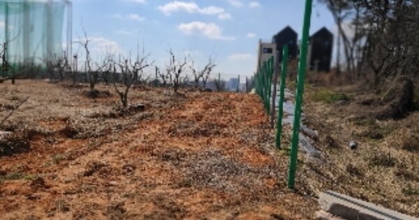 광주광역시 광산구 도천동 OOOOOO 임야 경매 물건 이미지