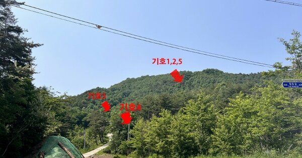 강원도 고성군 간성읍 탑동리 OOOOOO O OOO 임야 경매 물건 이미지
