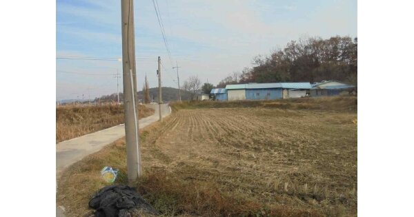 충청남도 부여군 장암면 하황리 OOOOO 답 경매 물건 이미지