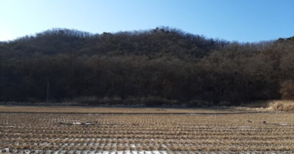 인천광역시 강화군 삼산면 석포리 OOOOO 전 경매 물건 이미지