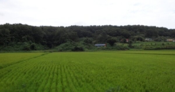 충청남도 서산시 지곡면 산성리 OOOO 답 경매 물건 이미지