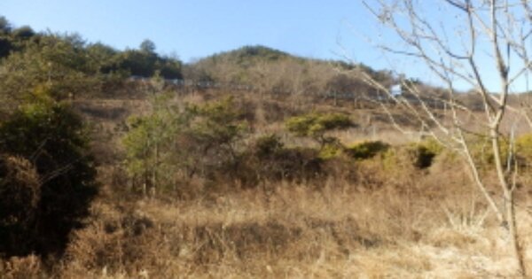 경상남도 진주시 명석면 오미리 OOOO O OOO 전 경매 물건 이미지