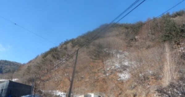 강원도 태백시 화전동 OOOOOO 임야 경매 물건 이미지