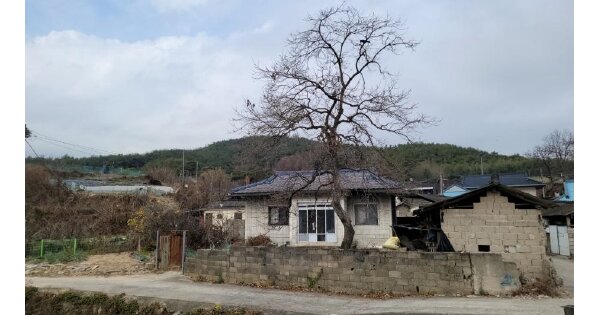 경상북도 고령군 쌍림면 송림리 OOOOO O OOO 단독주택 경매 물건 이미지