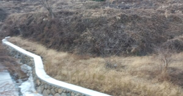 경상남도 거제시 장목면 시방리 OOO O OOO 답 경매 물건 이미지