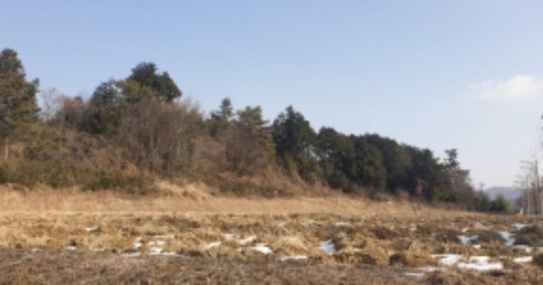 전라남도 보성군 보성읍 원봉리 OOOOO O OOO 전 경매 물건 이미지