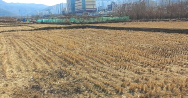 경상남도 거제시 상동동 OOOOO 답 경매 물건 이미지
