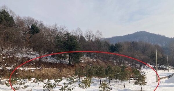 충청북도 제천시 백운면 원월리 OOOOO 전 경매 물건 이미지